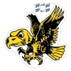 Blue 84 Iowa Hawkeyes Vintage Mascot Logo Sticker -CHAMPRO SHOP 19427015259