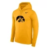 Nike Iowa Hawkeyes America Needs Farmers Logo Hoodie