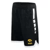 Nike Kids' Iowa Hawkeyes Wordmark Elite Shorts -CHAMPRO SHOP 19430561259