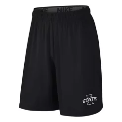 Nike Kids' Iowa State Cyclones Fly 2.0 Shorts