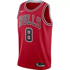 Nike Chicago Bulls Zach LaVine #8 Icon Edition Swingman Jersey