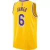 Nike Los Angeles Lakers LeBron James #6 Icon Jersey -CHAMPRO SHOP 19449982541