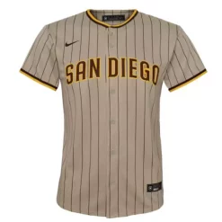 Nike Kids' San Diego Padres Fernando Tatis Jr #23 #Replica Jersey -CHAMPRO SHOP 19467455946 1