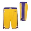Nike Kids' Los Angeles Lakers Swingman Icon Shorts -CHAMPRO SHOP 19492067782