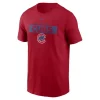 Nike Chicago Cubs Team Issued T-Shirt