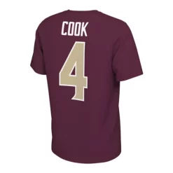 Nike Florida State Seminoles Delvin Cook #4 Name & Number T-Shirt