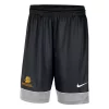 Nike Minnesota Duluth Bulldogs Fastbreak Shorts