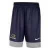 Nike UW-Eau Claire Blugolds Growl Hoodie