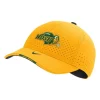 Nike North Dakota State Bison Sideline Hat