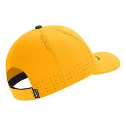 Nike North Dakota State Bison Sideline Hat -CHAMPRO SHOP 19557177370 1
