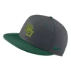 Nike Baylor Bears True Baseball Hat -CHAMPRO SHOP 19557181943