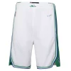 Nike Kids' Dallas Mavericks City Edition Mixed Moment Tape Swingman Shorts -CHAMPRO SHOP 19591342618