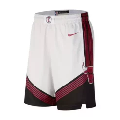 Nike Chicago Bulls 2022 City Edition Swingman Short