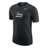 Nike Iowa Hawkeyes Vault Script T-Shirt