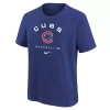 Nike Kids' Chicago Cubs Authentic Collection Early Work T-Shirt -CHAMPRO SHOP 19618065009