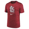 Nike St. Louis Cardinals 2023 Legend Velocity T-Shirt