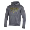 Under Armour Augustana Vikings Glacier Hoodie -CHAMPRO SHOP 19663498416