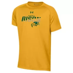 Under Armour Kids' North Dakota State Bison Laguna T-Shirt