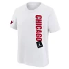 Nike Kids' Chicago Bulls 2022 Statement Essential T-Shirt