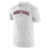 Nike Montana Grizzlies Sideline Velocity T-Shirt