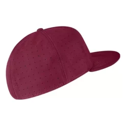 Nike Montana Grizzlies Replica Baseball Hat -CHAMPRO SHOP 19679217925 1