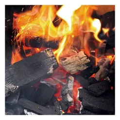 Big Green Egg Premium Natural Lump Charcoal -CHAMPRO SHOP 66571911050 1